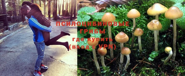 кокаин премиум Верхний Тагил