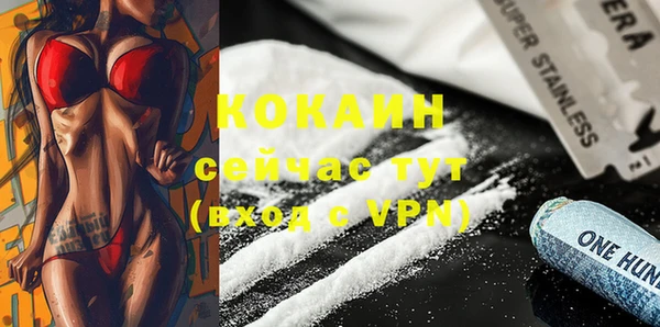 мяу мяу мука Бородино
