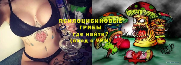 стафф Верея