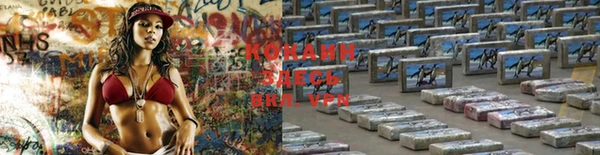 мяу мяу мука Бородино